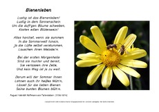 Bienenleben-Fallersleben.pdf